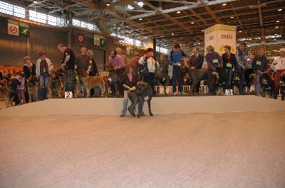 des Jardins De Boudou - SALON DE L'AGRICULTURE 2008