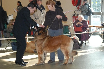 des Jardins De Boudou - PARIS DOG SHOW 2009