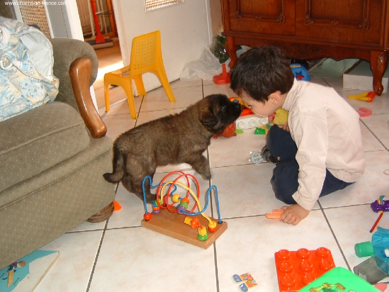 Mon Album photo