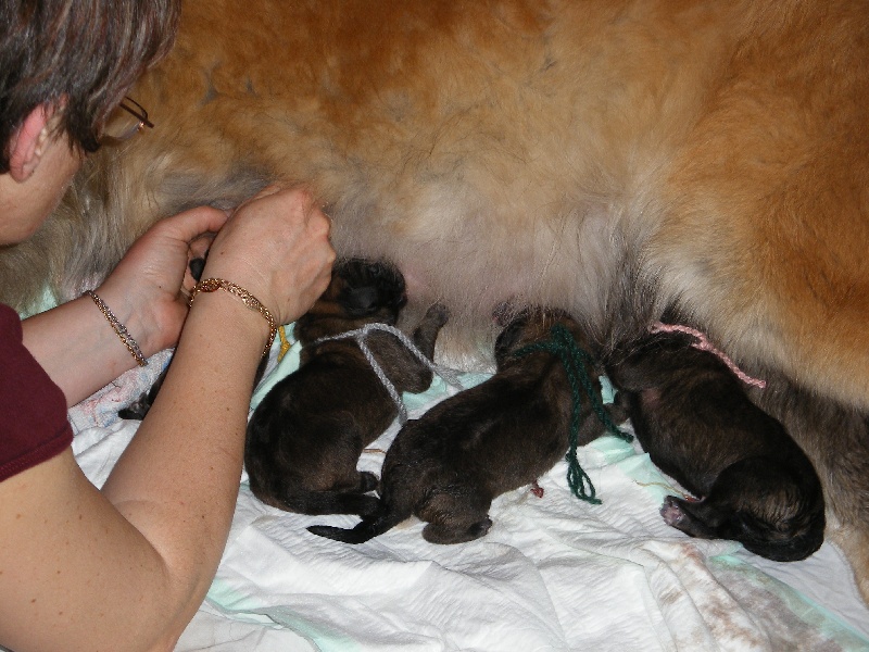 les bébés du 1 er mai 2008